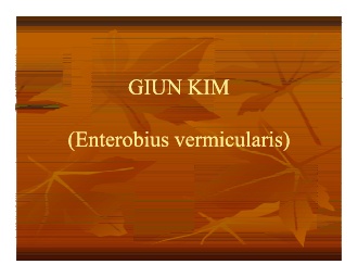 Bài giảng Giun kim (Enterobius vermicularis)