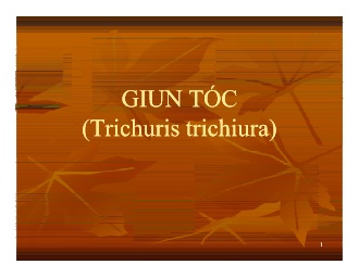 Bài giảng Giun tóc
