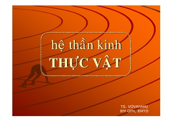 Bài giảng Hệ thần kinh thực vật