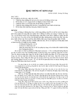 Bài giảng Hệ thống sứ - Kim loại