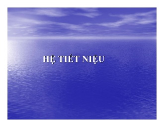 Bài giảng Hệ tiết niệu