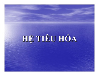Bài giảng Hệ tiêu hóa