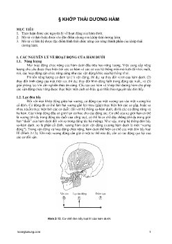 Bài giảng Khớp thái dương hàm
