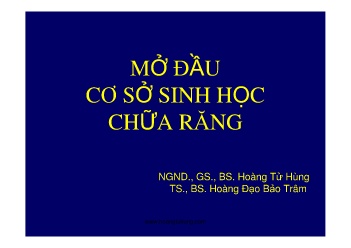Bài giảng Mở đầu cơ sở sinh học chữa răng