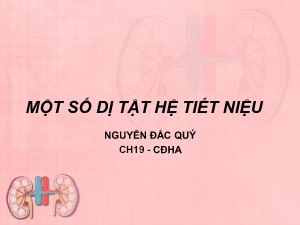 Bài giảng Một số dị tật hệ tiết niệu