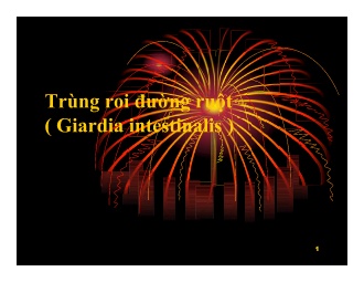 Bài giảng Trùng roi đường ruột (Giardia intestinalis)
