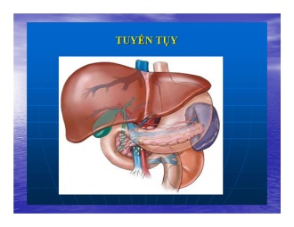 Bài giảng Tuyến tụy