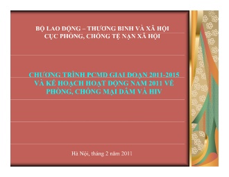 Chương trình PCMD giai đoạn 2011-2015 và kế hoạch hoạt động năm 2011 về phòng, chống mại dâm và HIV