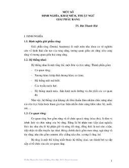 Tài liệu Một số định nghĩa, khái niệm, thuật ngữ giải phẫu răng