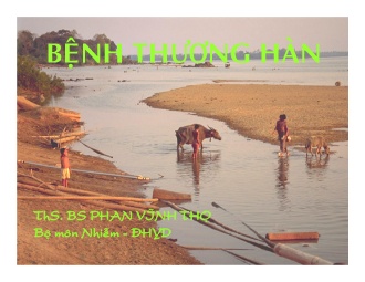 Bài giảng Bệnh thương hàn