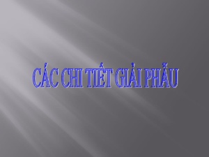 Bài giảng Các chi tiết giải phẫu