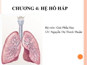 Bài giảng Giải phẫu học - Chương 4: Hệ hô hấp