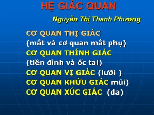 Bài giảng Hệ giác quan