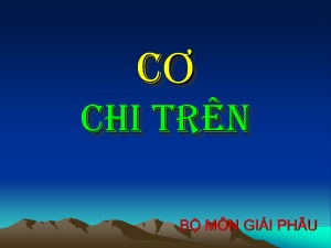 Bài giảng môn Giải phẫu - Cơ chi trên