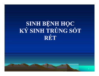 Bài giảng Sinh bệnh học ký sinh trùng sốt rét