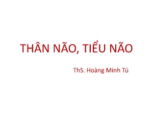 Bài giảng Thân não, tiểu não - Hoàng Minh Tú