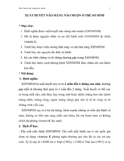 Bài giảng Xuất huyết não màng não muộn ở trẻ sơ sinh